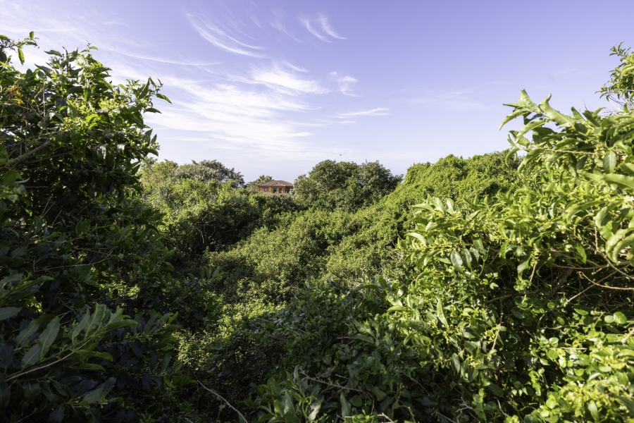 0 Bedroom Property for Sale in Forest Downs Eastern Cape